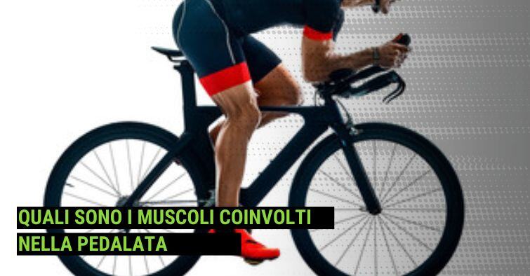 QUALI MUSCOLI SI ALLENANO IN BICI? UN GESTO CONOSCIUTO MA NON SCONTATO